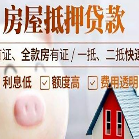 蒙城贷款助贷公司新渝启服成立时间久